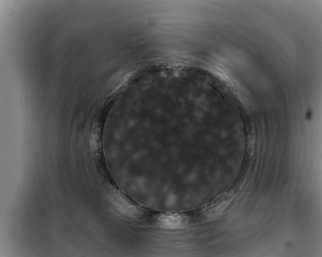 X0000100200181200806061331