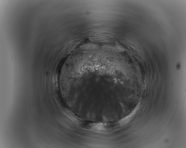 X0000100200182200806061331