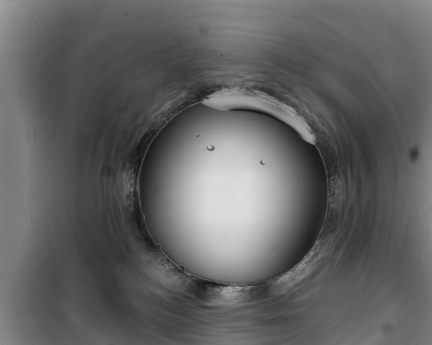 X0000100200184200806061331