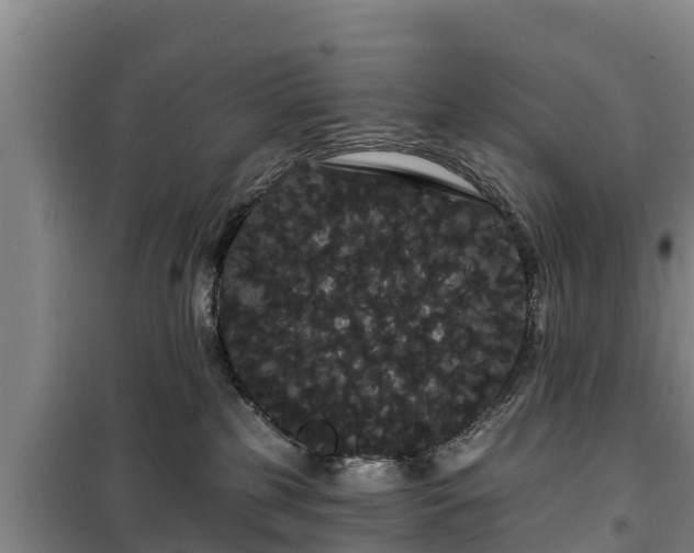 X0000100200185200806061331