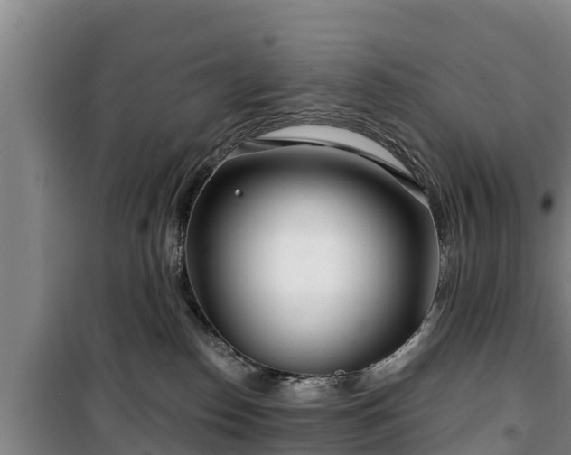 X0000100200186200806061331