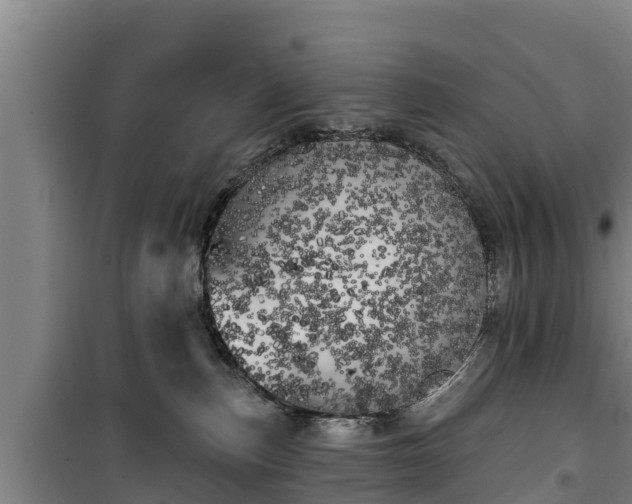 X0000100200187200806061331