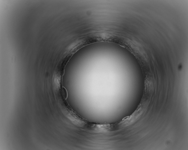 X0000100200188200806061331