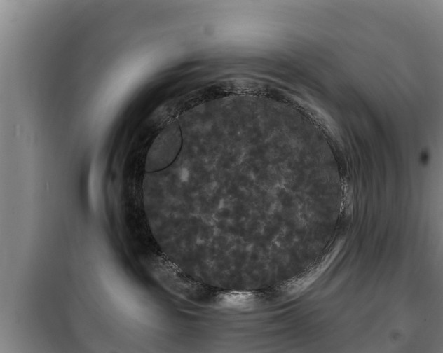 X0000100200189200806061331