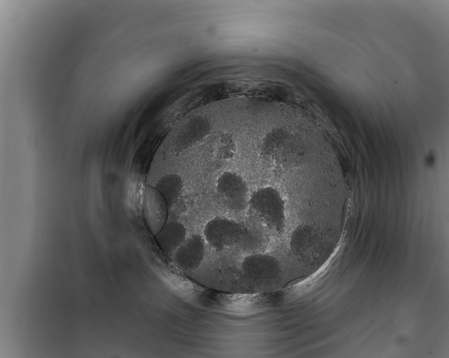 X0000100200191200806061331