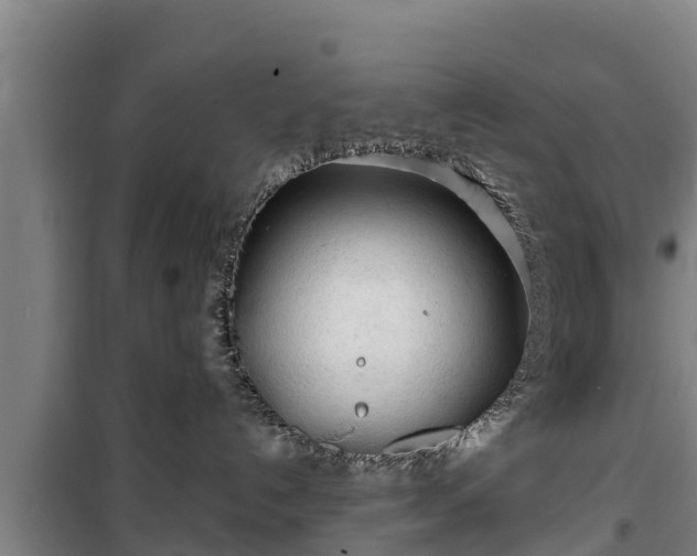 X0000100200192200806061331