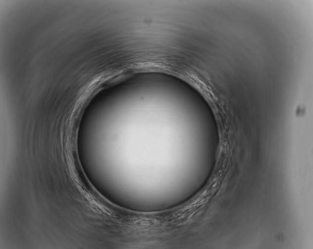 X0000100200193200806061330