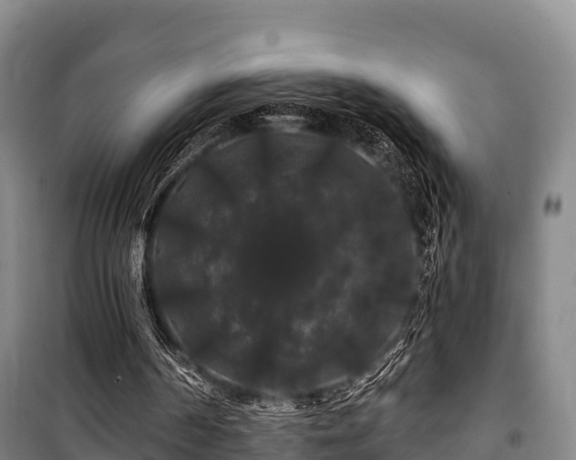 X0000100200194200806061330