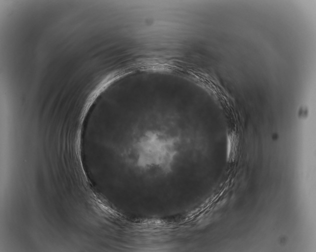 X0000100200195200806061330