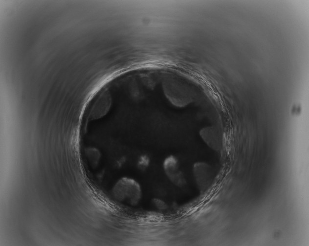 X0000100200196200806061330