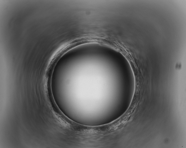 X0000100200197200806061330