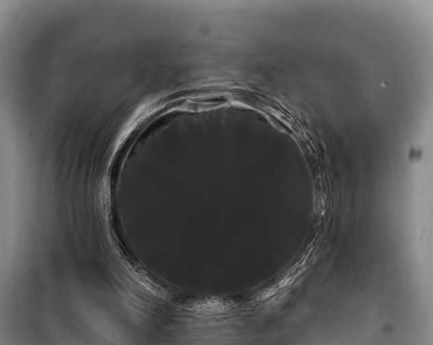 X0000100200198200806061330