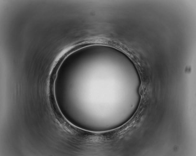 X0000100200200200806061330