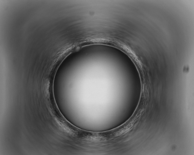 X0000100200201200806061330