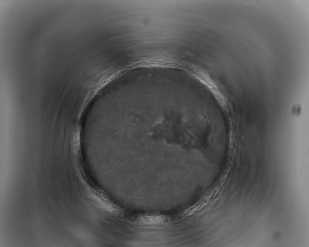 X0000100200202200806061330