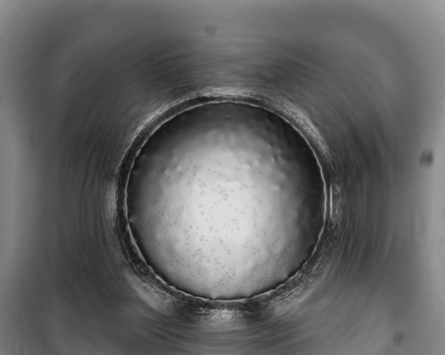 X0000100200204200806061330