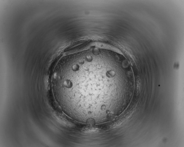 X0000100200206200806061330