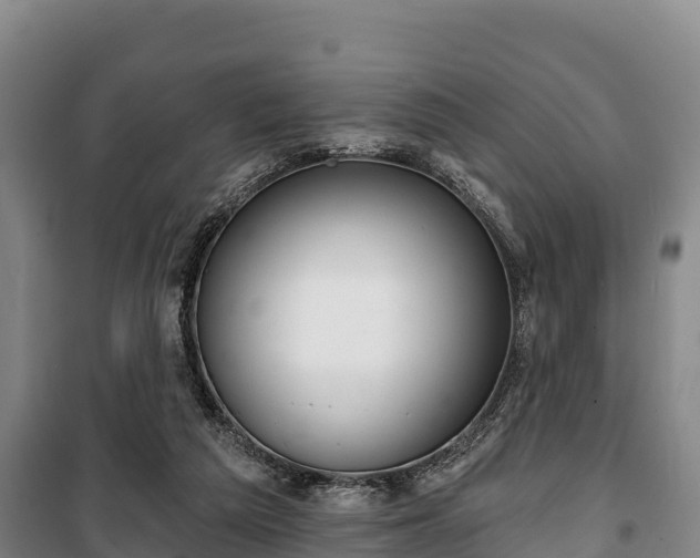 X0000100200209200806061330