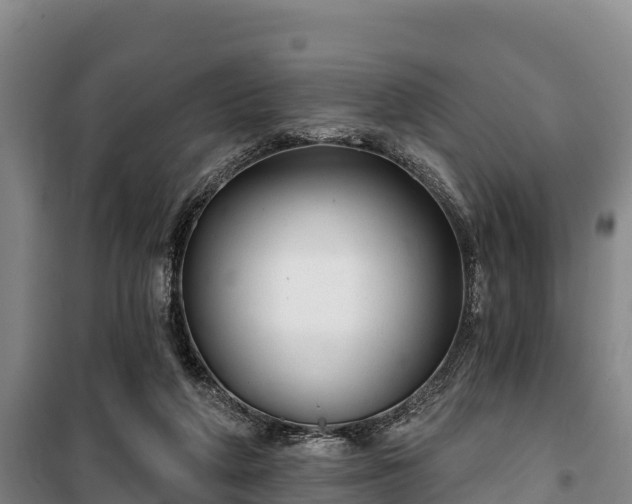 X0000100200210200806061330