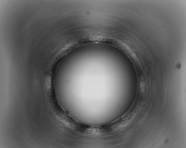 X0000100200211200806061330