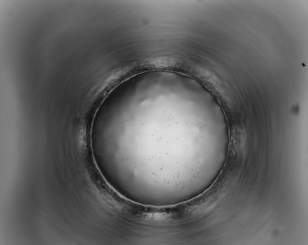 X0000100200212200806061330