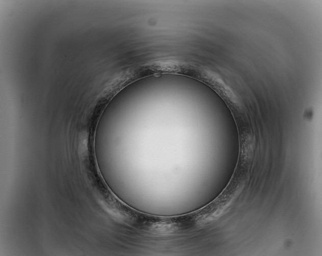 X0000100200213200806061330