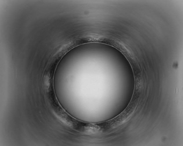 X0000100200215200806061330