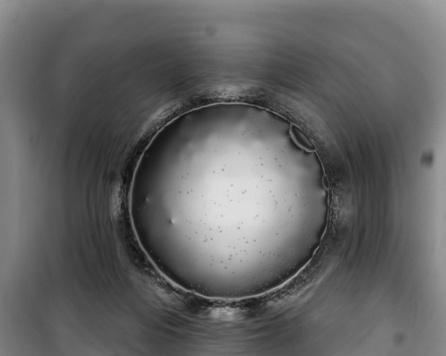 X0000100200216200806061330