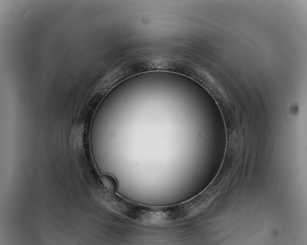 X0000100200217200806061330