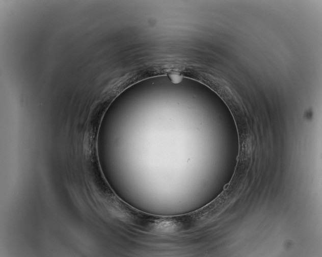 X0000100200218200806061330