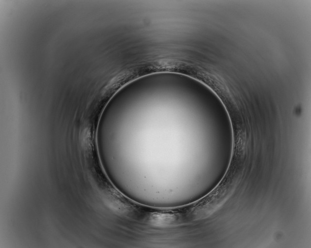 X0000100200220200806061330