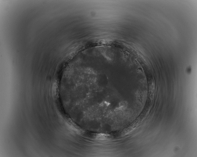 X0000100200222200806061330