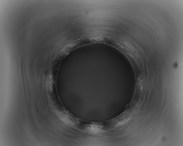 X0000100200223200806061330