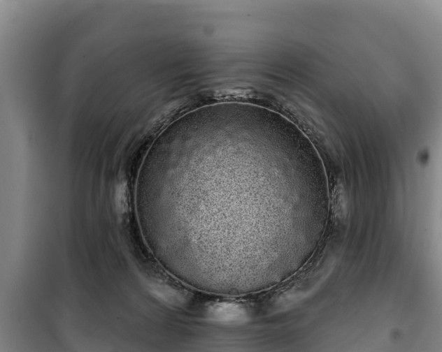 X0000100200224200806061330