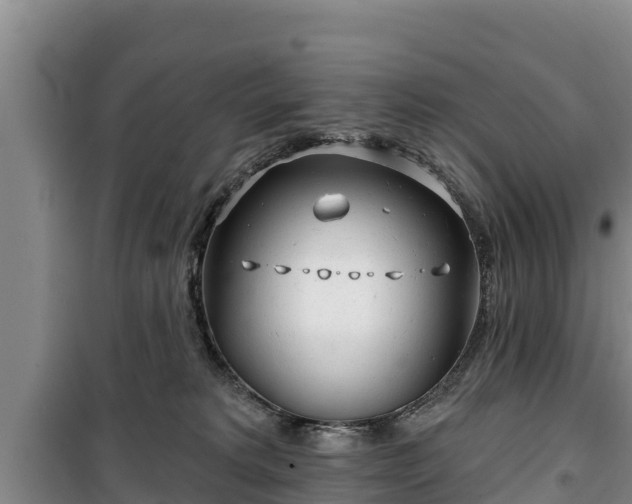 X0000100200229200806061330