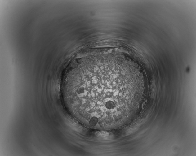 X0000100200230200806061330