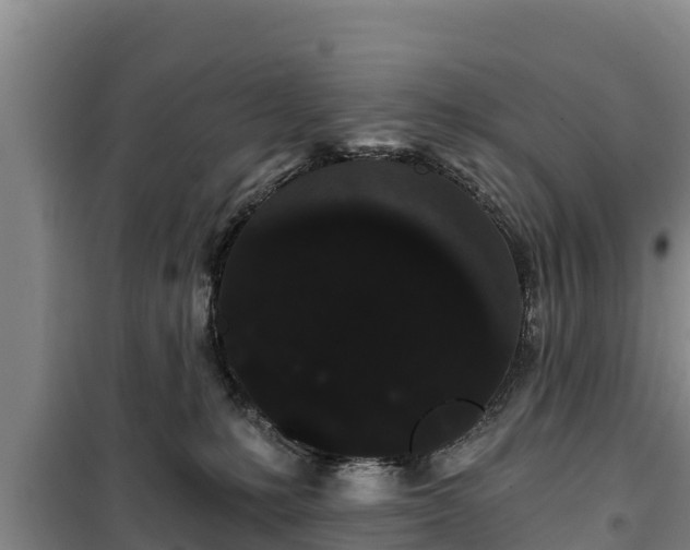 X0000100200231200806061330