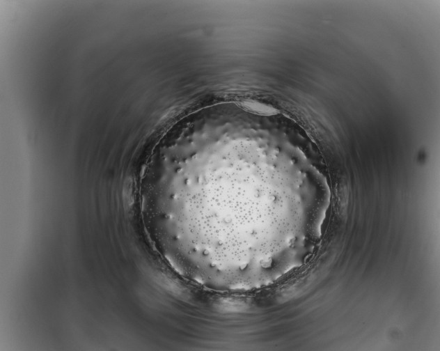 X0000100200232200806061330