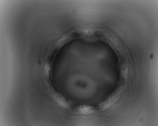 X0000100200235200806061329