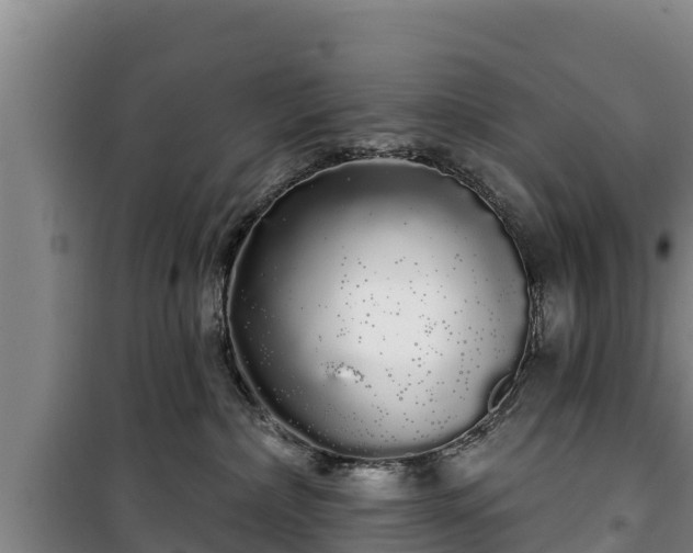 X0000100200236200806061329