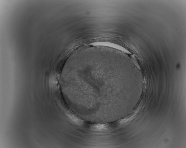 X0000100200237200806061329