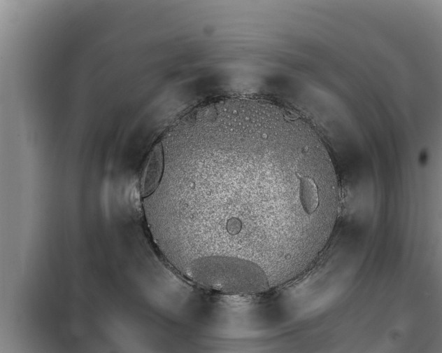 X0000100200238200806061329