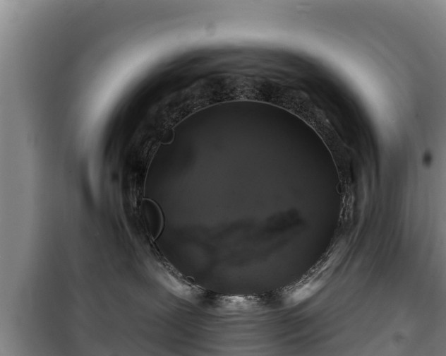 X0000100200239200806061329