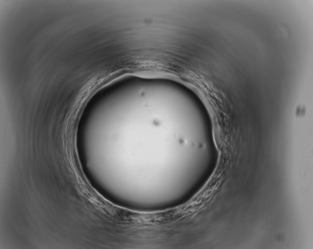 X0000100200241200806061329