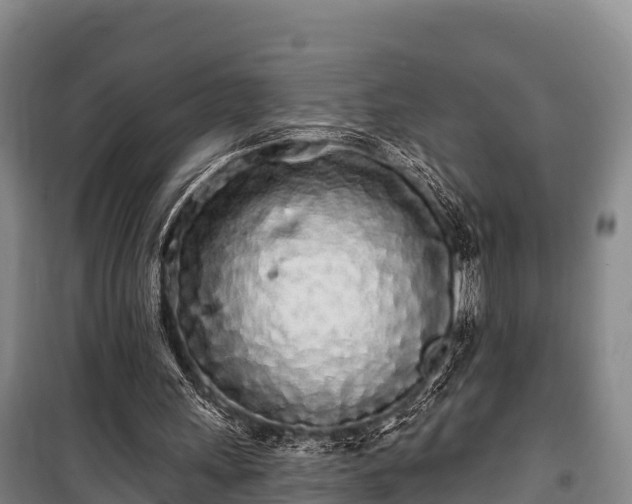 X0000100200243200806061329