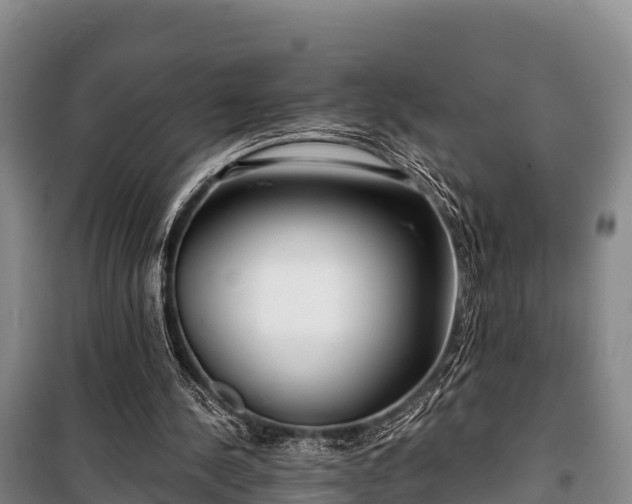 X0000100200244200806061329