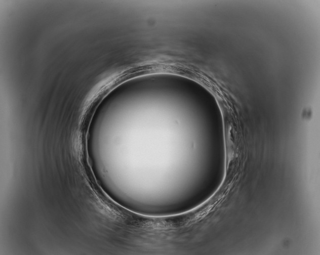 X0000100200245200806061329