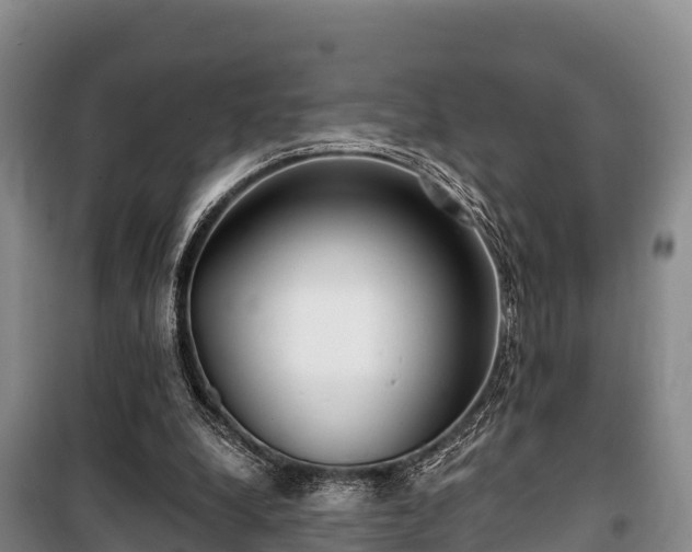 X0000100200248200806061329