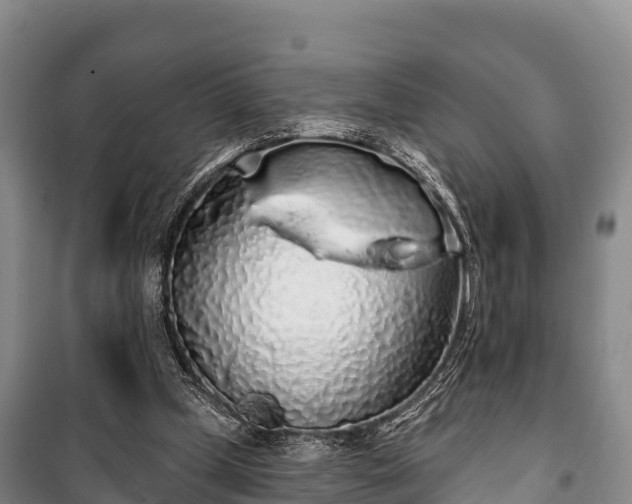 X0000100200249200806061329