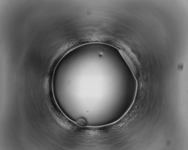 X0000100200250200806061329